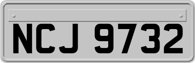 NCJ9732