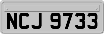 NCJ9733
