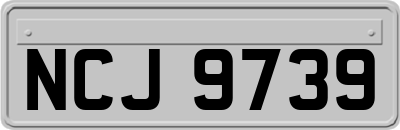 NCJ9739