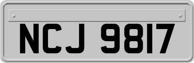 NCJ9817