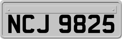 NCJ9825