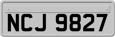 NCJ9827