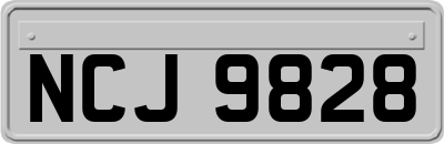 NCJ9828
