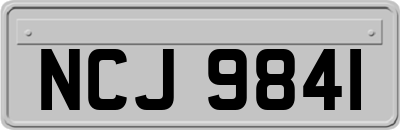 NCJ9841