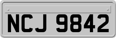 NCJ9842