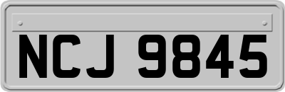 NCJ9845