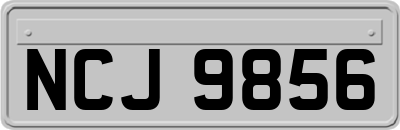 NCJ9856