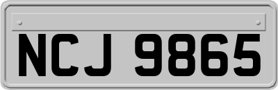 NCJ9865
