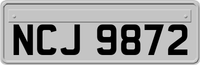 NCJ9872