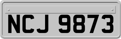 NCJ9873