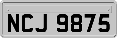 NCJ9875