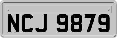 NCJ9879