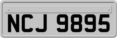 NCJ9895
