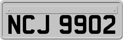 NCJ9902