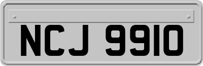 NCJ9910