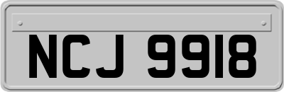 NCJ9918