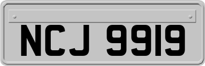 NCJ9919