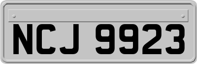 NCJ9923