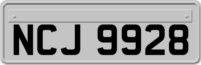 NCJ9928