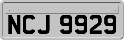NCJ9929