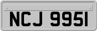 NCJ9951