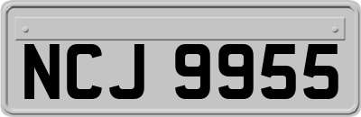 NCJ9955