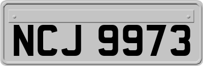 NCJ9973