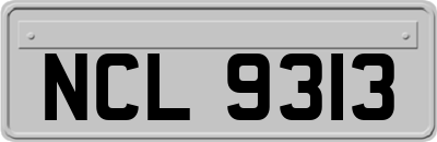 NCL9313
