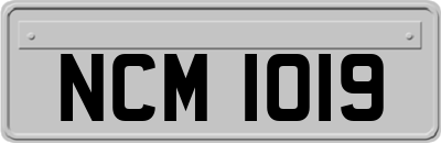 NCM1019