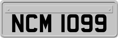 NCM1099