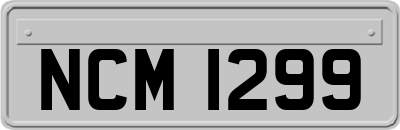 NCM1299