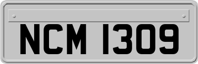 NCM1309