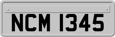 NCM1345