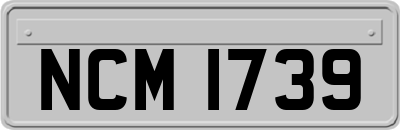 NCM1739