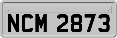 NCM2873