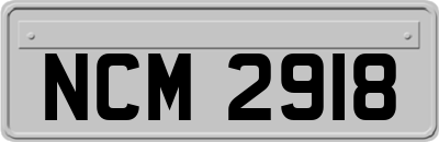 NCM2918