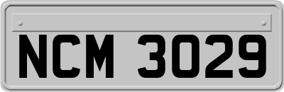 NCM3029