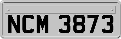 NCM3873