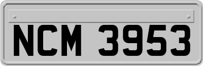 NCM3953
