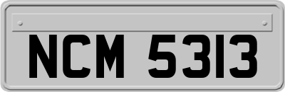 NCM5313