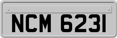 NCM6231