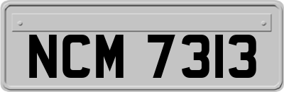 NCM7313