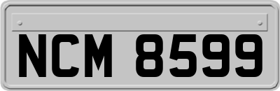 NCM8599