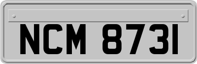 NCM8731