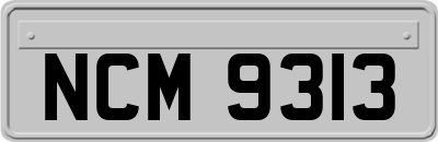 NCM9313