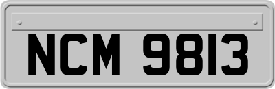 NCM9813