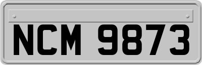 NCM9873
