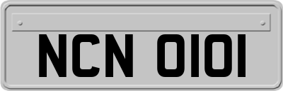 NCN0101
