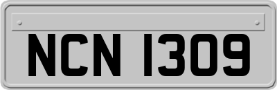 NCN1309