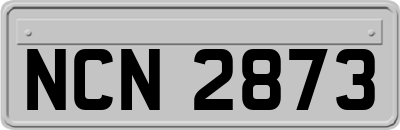NCN2873